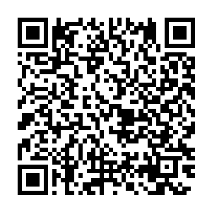 我不是故意的……我这几天都梦到洪姨娘和她的孩子来找我索命了……二维码生成