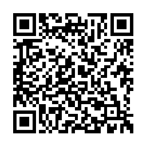 我不是没有想过把这段儿建木根茎割下一段儿过二维码生成