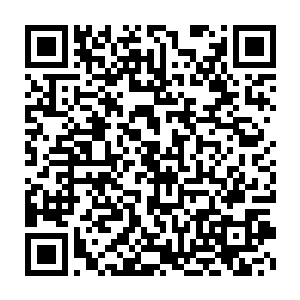 我不用想也知道一定就是那天在赵半仙丧葬公司里看到的那个美女二维码生成