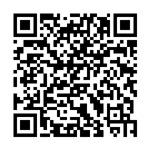 我不由的又透过摇晃的窗帘看了一眼前方那辆华贵的马车二维码生成