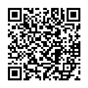 我不相信仅仅是因为赵美娟跟我父亲有不正当的关系二维码生成