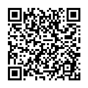 我不知道为什么总感觉一打开又将是一场血雨腥风二维码生成