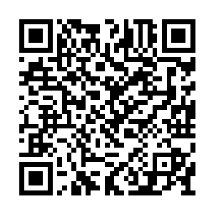 我不知道为什么身为凤凰一族并不能随意的复活二维码生成