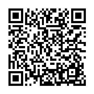 我不知道你为什么会这么突然想要将徐韶赶出去二维码生成