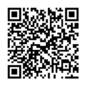 我不知道塵老有没有从你们的神那里得到相关预示二维码生成