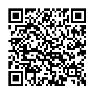 我不知道张锋的这几个亲人对张锋是不是有感情二维码生成