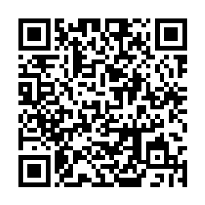 我不知道是怎么回事……班上的孩子一般都比我大二维码生成