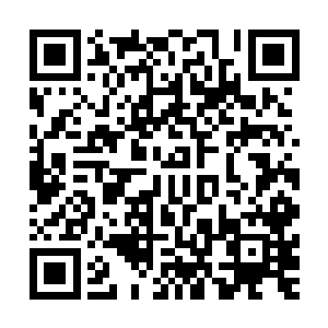 我不知道格里高利家族和你说了什么你们之间有什么样的交易二维码生成