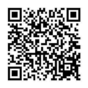 我不知道这样的冲击会对强者们的道心造成什么样的影响二维码生成
