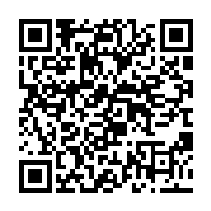 我不确定我帮你们出来会不会对你们造成更大的伤害二维码生成