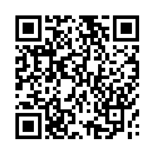 我不能保证在葬神之地里会发生什么二维码生成