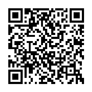 我不能眼睁睁地看着他成为杀戮之神的附属神明二维码生成