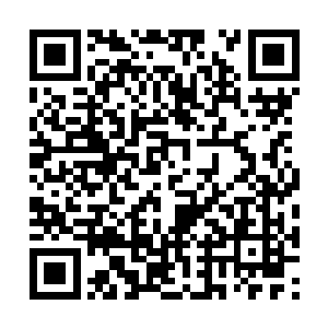 我不能确定鬼差对于认识的人是不是都这么好说话二维码生成