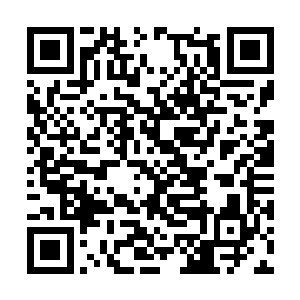 我不能让我的兄弟永远沉沦在杰客大帝的召唤术中二维码生成