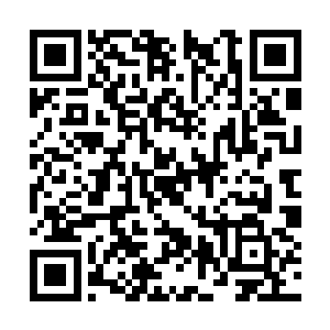 我不能让马文和露易丝两个人面临那么可怕的存在二维码生成