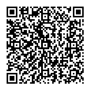 我不认为一个在拜仁慕尼黑连大名单都进不去的球员的商业价值能比云达不莱梅的主力核心更高二维码生成