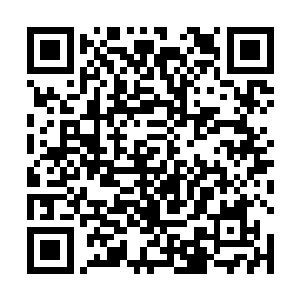 我不问你们父母长辈为何会让你们专程来一趟池南小城二维码生成