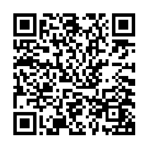 我不需要你们的保证我需要你们用实际行动来证明你们的能力二维码生成