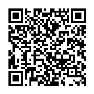 我与燕家一起已经捋清楚了我们从宋家和楚家接手过来的产业二维码生成
