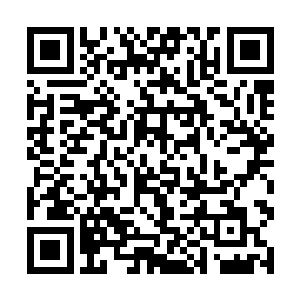 我专门派出凌桦最棒的团队帮阮姐做宣传前期的准备二维码生成