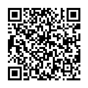 我中午看见二公子和二姑娘去厨房端了一盘点心……二维码生成