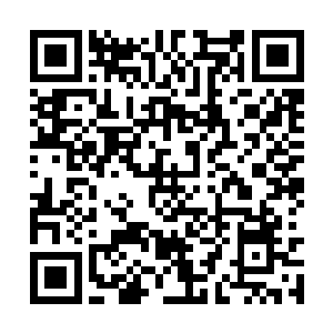 我为什么又要冒着那么大的危险非要把他背回来呢二维码生成