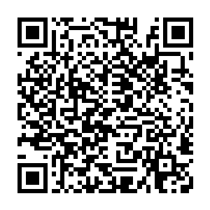 我为什么要急着在自己王位的最后一年逼迫利诱其他两族一起向东大陆发起攻击二维码生成