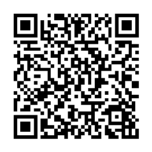 我为什么要总是按照你们担心和期望的思想前行二维码生成