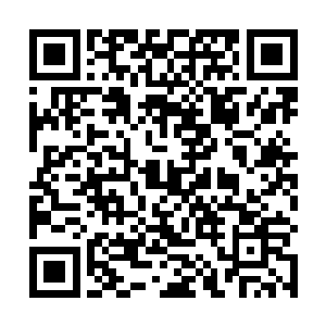 我为何要管他宗家供奉走不走我只是看楚道友人才难得二维码生成