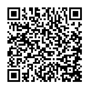 我为你做出的改变简直让自己判若两人――我几乎是全面地改变自己来适应你二维码生成