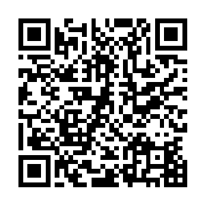 我为凌团长介绍一下我们基地各位出色的兵团团长与队长们二维码生成
