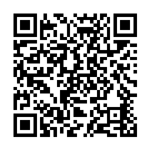 我为有了咕仔这个保证以后都和我一起玩耍的伙伴感到高兴二维码生成