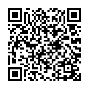 我乃是伽罗族雷公法王在我族克兰默大宗师处特别定制二维码生成