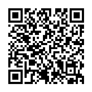 我之前也是因为给那六面控制神兽的旗子落在了薛术棋的手中二维码生成