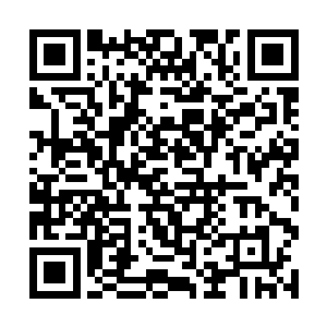 我之所以迫切的跟随格列瓦托夫先生到机场来迎接您二维码生成