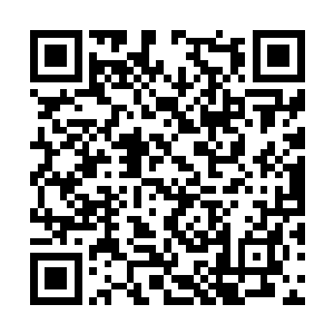 我也不会带着几乎整个帮会所有的力量出现在这里二维码生成