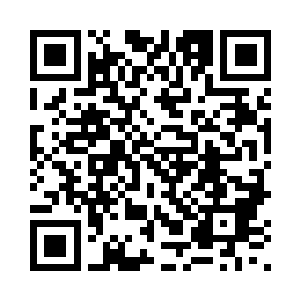 我也不占你便宜……千年金纹火槿二维码生成
