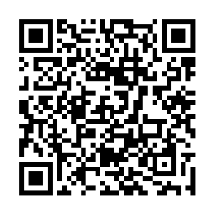 我也不是不能生孩子……我感激你对我的所作所为二维码生成