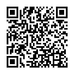 我也不是第一眼看见局长就追着跑着做他的情人二维码生成