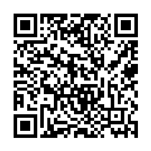 我也不知道……就知道我发现了属于自己前世的气息二维码生成