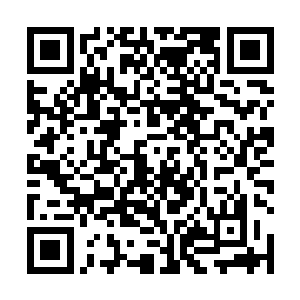 我也不知道刚刚是什么在支撑着她回答了我那么多问题二维码生成