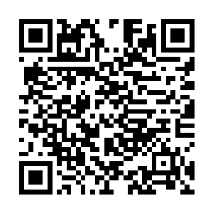 我也不知道我会不会跟这个矮胖子磕一架之后扭头就走二维码生成