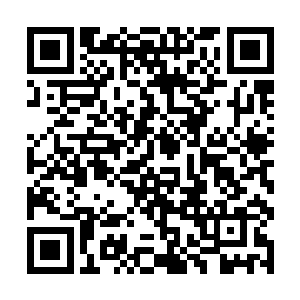 我也不知道自己怎么会爱上这样一个冷血无情的恶魔二维码生成