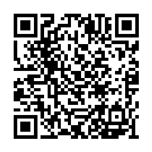 我也不管你们公子有没有跟你们说个中利害关系二维码生成