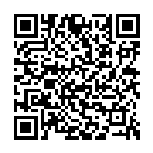 我也不至于打赌打输了还穿着女人的内衣压马路二维码生成