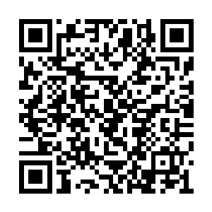 我也不至于要拿我这药王谷的绝密出来说与你听二维码生成