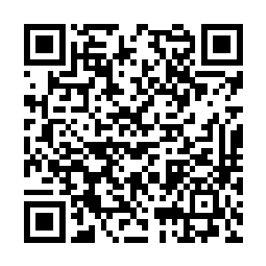 我也为我们的格斗术里能增加两个有效动作而高兴二维码生成