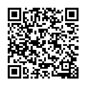 我也为龙牙军捐出两万根地元水晶和一万根风元水晶……二维码生成