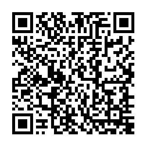 我也会尽自己最后的一点微薄的力量努力的去守护好林先生留下來的一切二维码生成