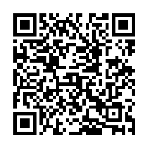 我也去看看这位局长大人对这起劫案到底有着什么看法二维码生成